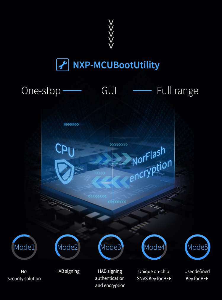 Native data encryption