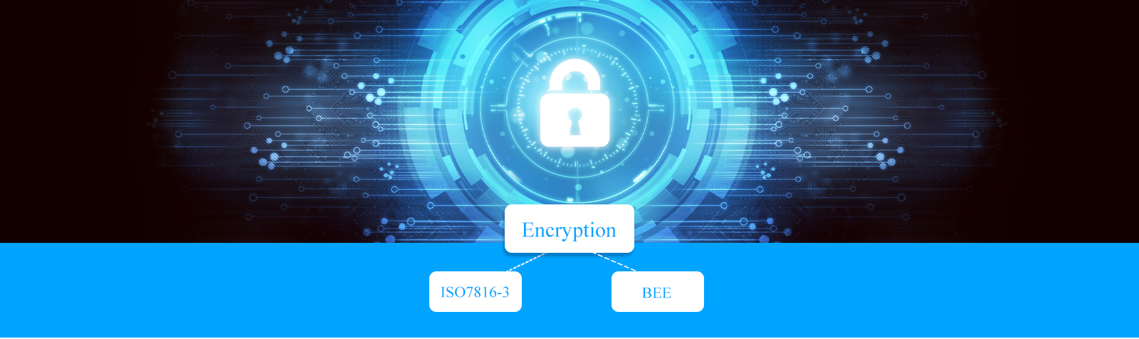 Native data encryption