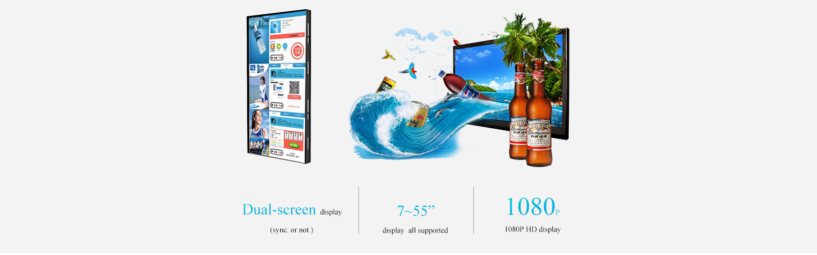 HDMI and LVDS interfaces