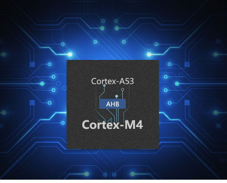 Hybrid architecture and multi-core