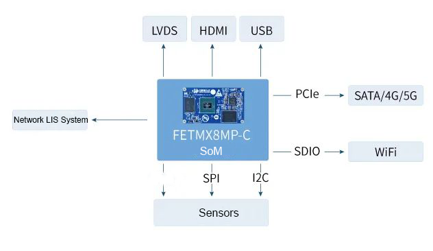 FETMX8MP-C core board function interface
