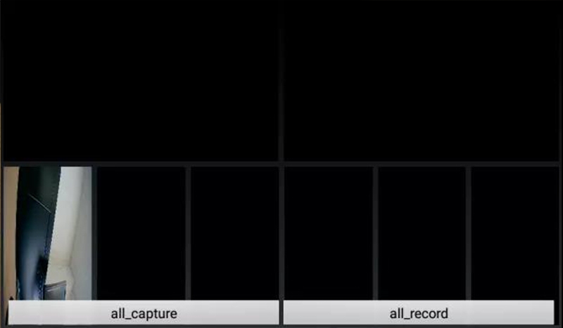 Multiple Camera