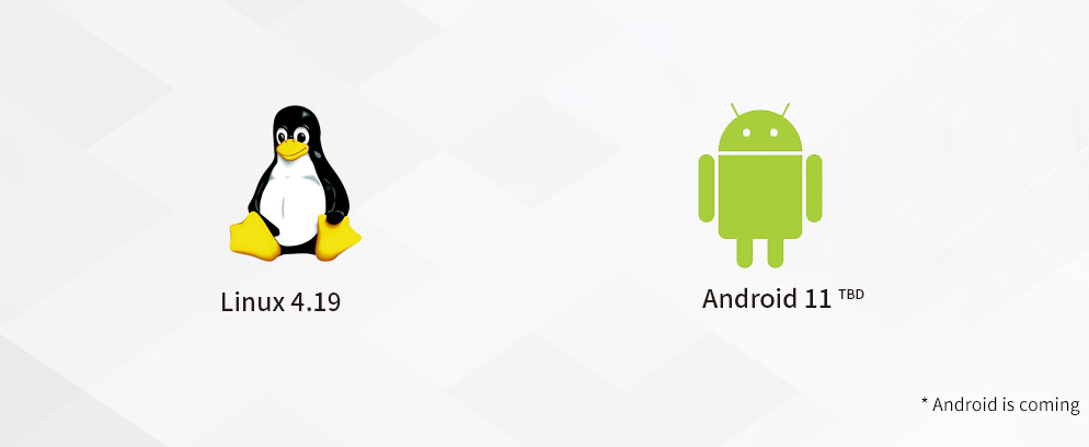supports Linux 4.19 and Android 11