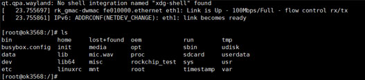 Serial port login