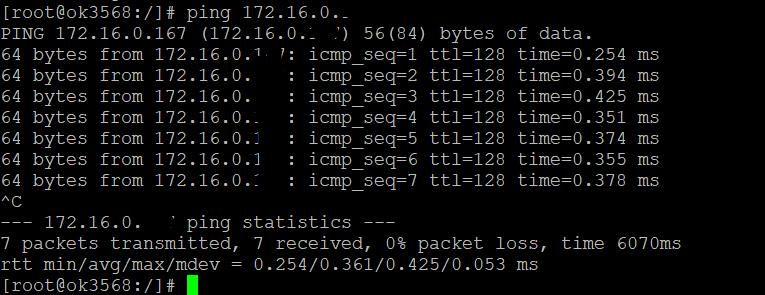 ping the IP configured