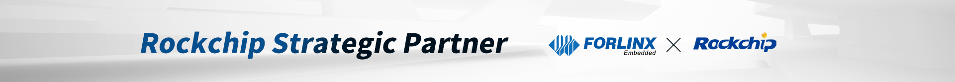 Rockchip Strategic Partner