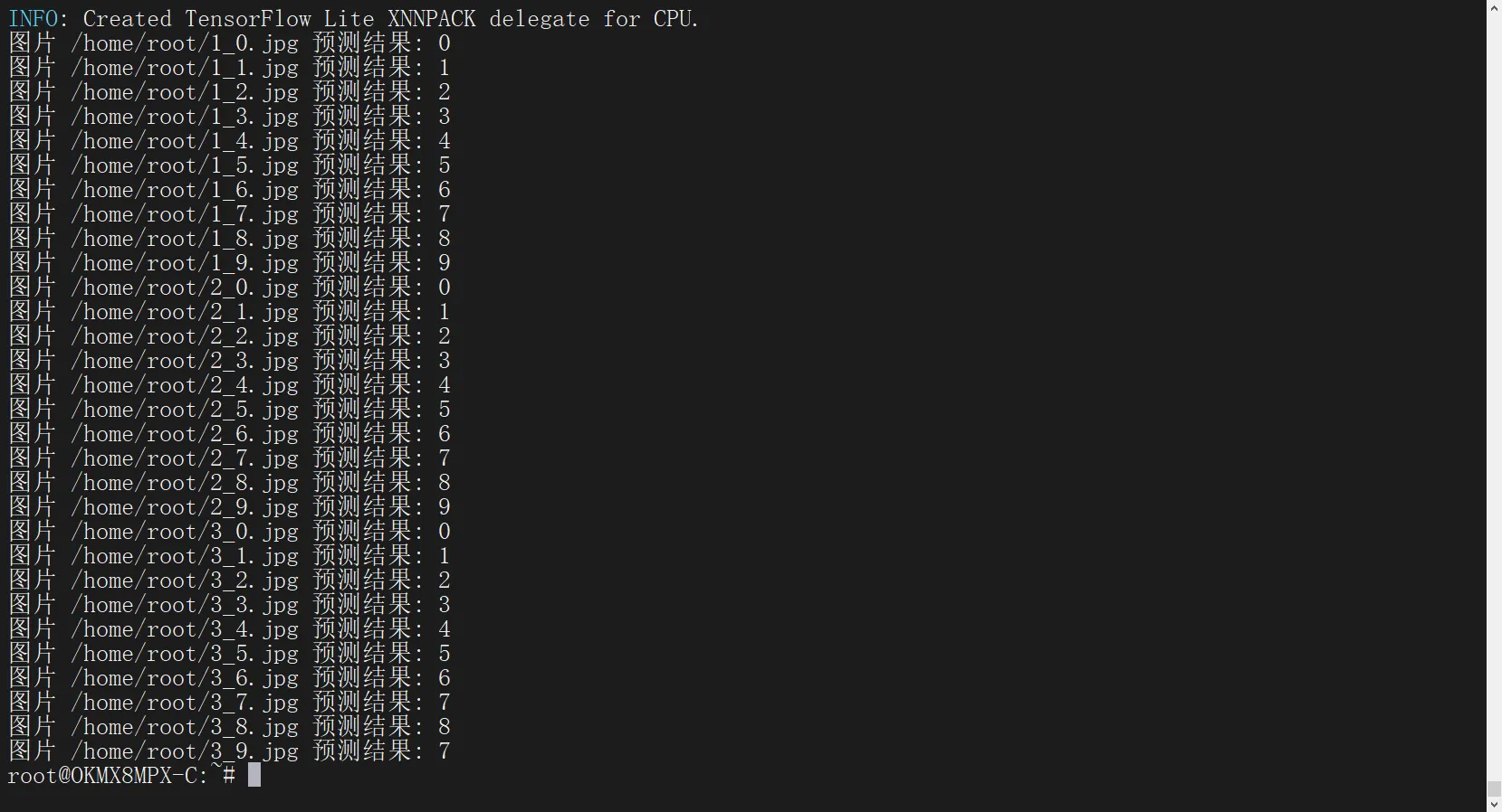 Porting of MobileNetV3 Model and Implementation of Handwritten Digit Recognition Based on OKMX8MP-C Linux 5.4.70