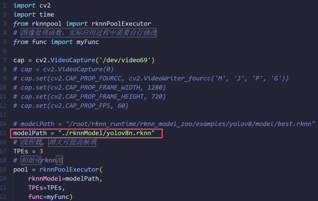 main.py configuration showing RKNN model file path for inference