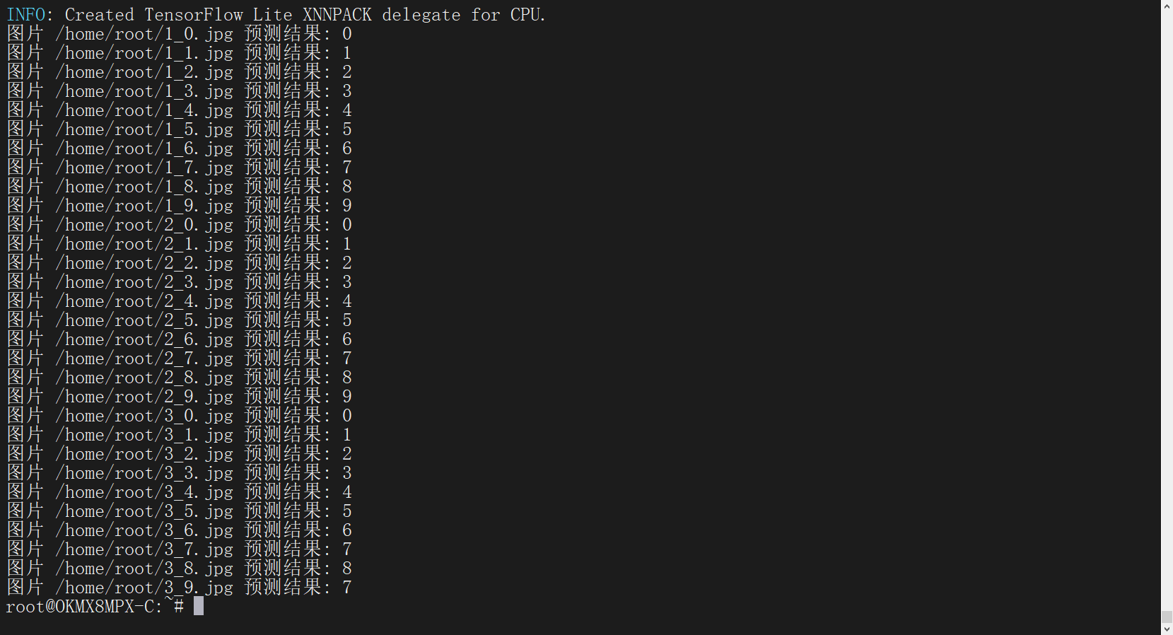 Terminal output displaying predicted labels for each digit image