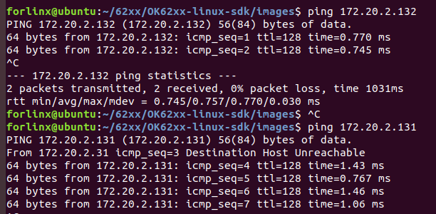 Successful ping test to both NIC IP addresses