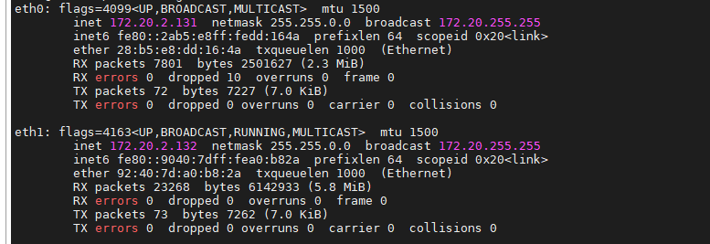 Verifying current IP addresses of eth0 and eth1
