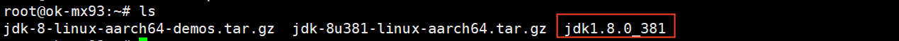 Terminal output showing the extracted jdk1.8.0_381 folder from the JDK installation package